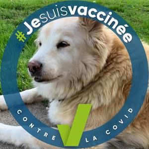 Meet your Posher, Geneviève